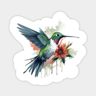 Watercolor Hummingbird Sticker